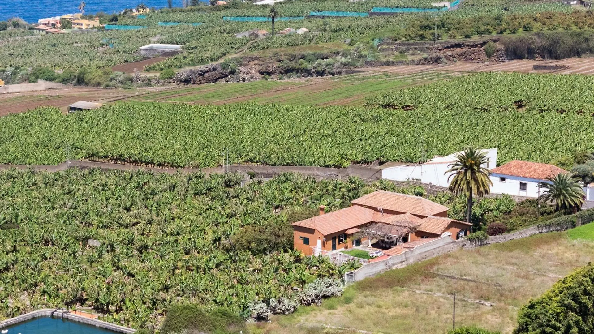 Prime Home Los Orovales Puerto de la Cruz  Holiday home Puerto de la Cruz (Tenerife)